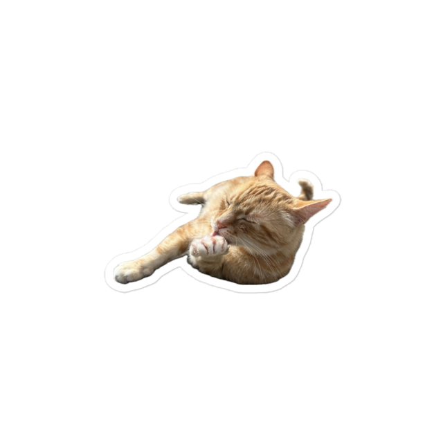 Washy the cat sticker 