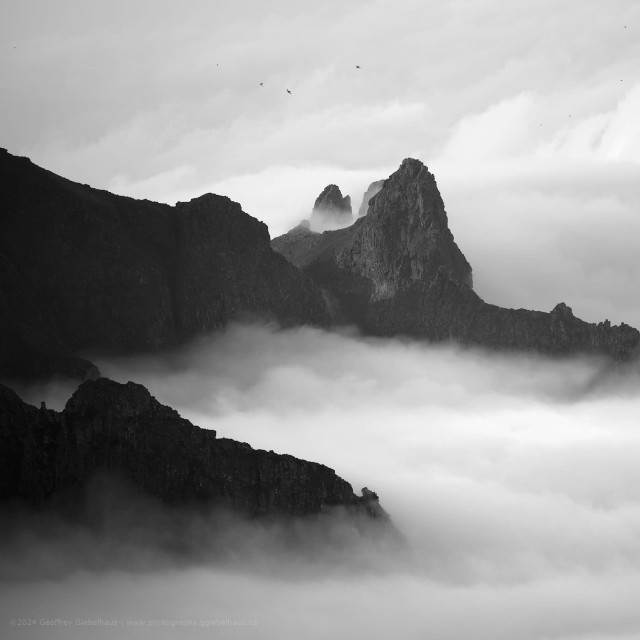 Dark cliff faces and jagged rock spires emerge from a thick, billowing sea of cloud that fills the valley between the escarpment walls, with two small birds visible as tiny specks in the pale sky above. The black and white treatment and layered tones of dark rock against luminous white cloud give the image a graphic, almost ink-wash quality reminiscent of classical East Asian landscape painting.