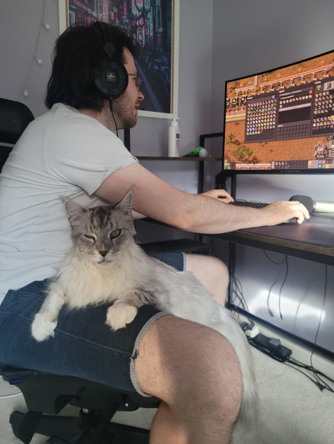 My cat a very large silver tabby Maine Coon, propped up on my husband's though whilst he tries to play Factorio.
