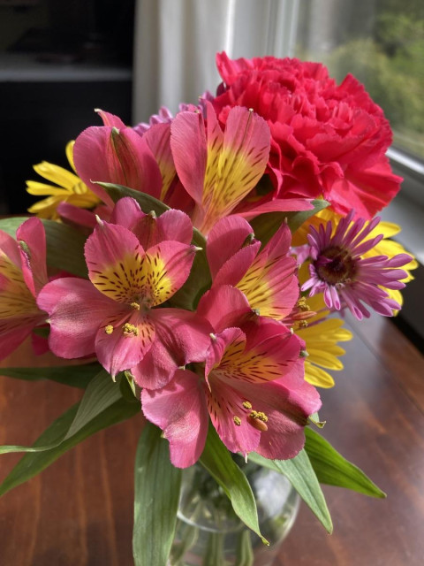 A colourful bouquet of flowers in shades of deep pink and yellow. There are carnations and yellow daisies and another variety the author can't name off the top of her head: multiple pink petals, some with yellow spotted centres. 