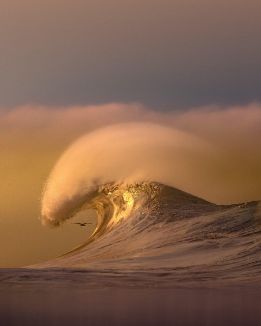 a vibrant photo of a cresting wave
