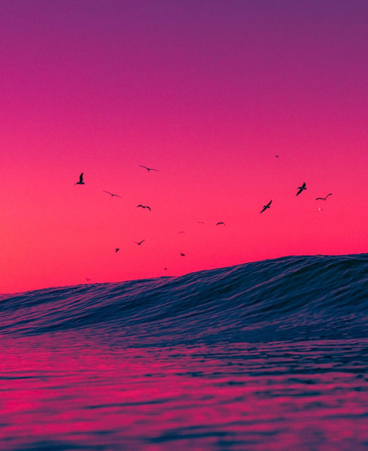 a vibrant photo of a cresting wave