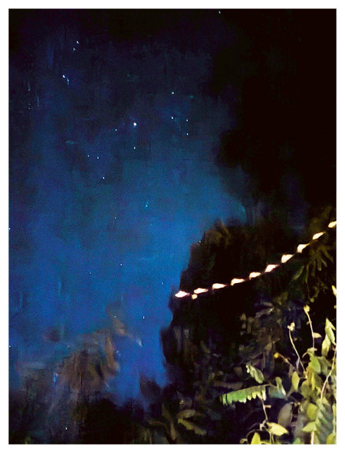 a night sky filled with stars and a blue glow is visible above dark silhouettes of tree leaves. A string of what appear to be small yellow lights stretches diagonally across the image. it is in fact a moth in flight, captured in the time-lapse image