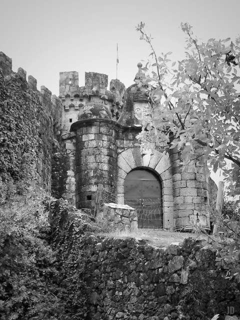 La imagen muestra un castillo de piedra antiguo, con murallas cubiertas parcialmente de vegetación. La entrada principal tiene un gran arco de medio punto y una pesada puerta de madera reforzada con metal. Sobre la puerta se alzan torres y almenas, y en primer plano aparece un árbol cuyas ramas cubren parte de la vista. La fotografía está en blanco y negro, lo que resalta el carácter histórico y envejecido de la construcción.