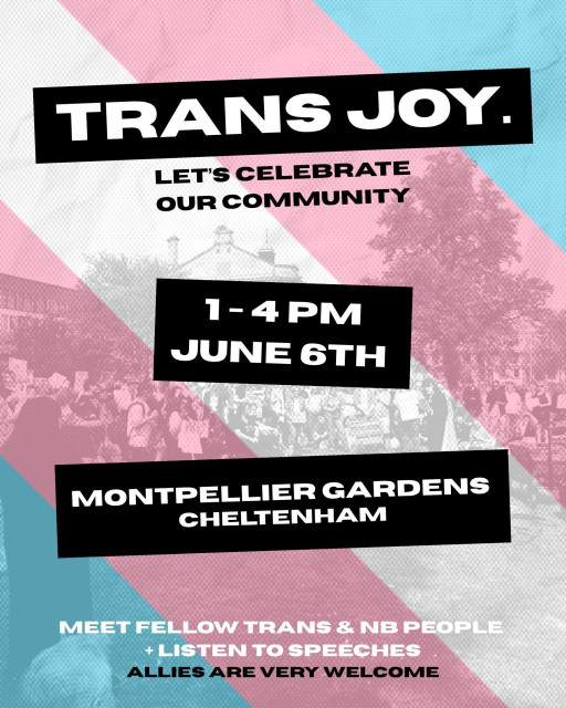 Trans flag colours with text as per toot, a black and white image gathering of people in the background