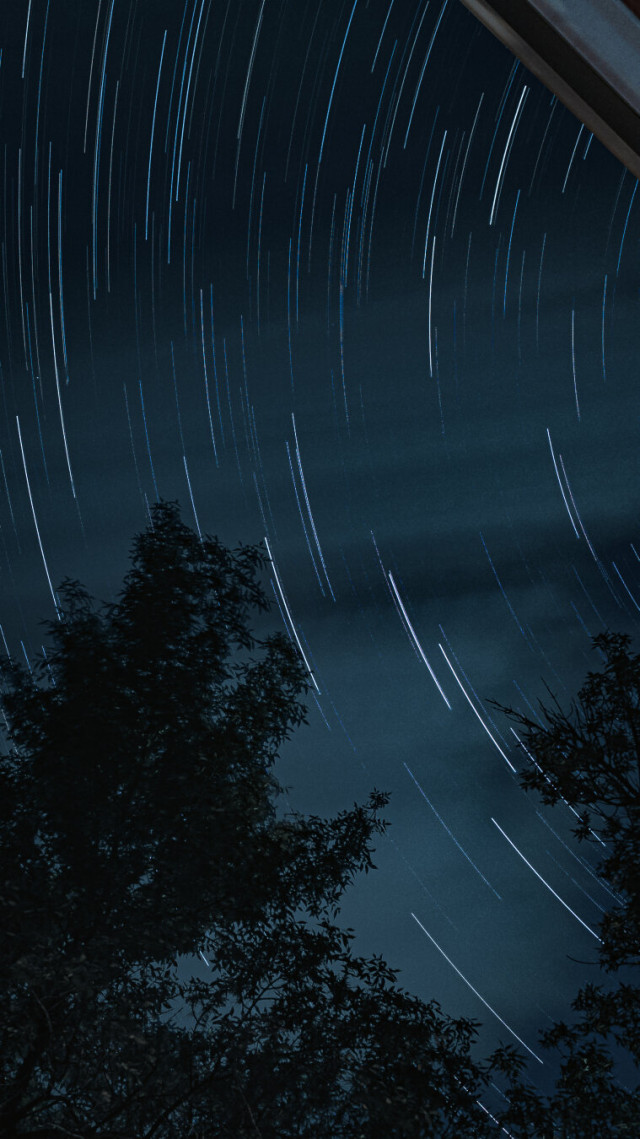Star trails taken from my backyard last night