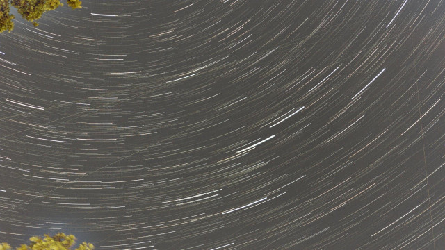 Star trails with trees also 30 min