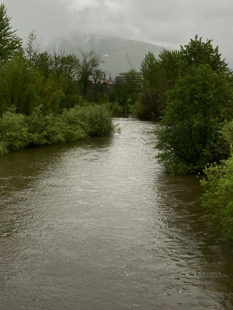 Image of a river during a rainstorm, the high water in the trees bordering its banks, the low clouds obscuring the mountains in the background. 