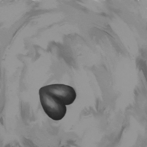 Screenshot of an animated gif by visual artist Kera Damo