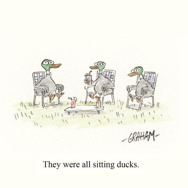 A cartoon illustration of three ducks sitting on lawn chairs enjoying drinks. Caption reads "They were all sitting ducks."