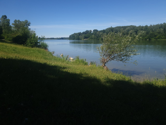 donaualtarm greifenstein