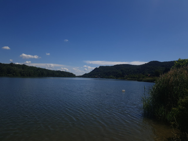 donaualtarm in wördern