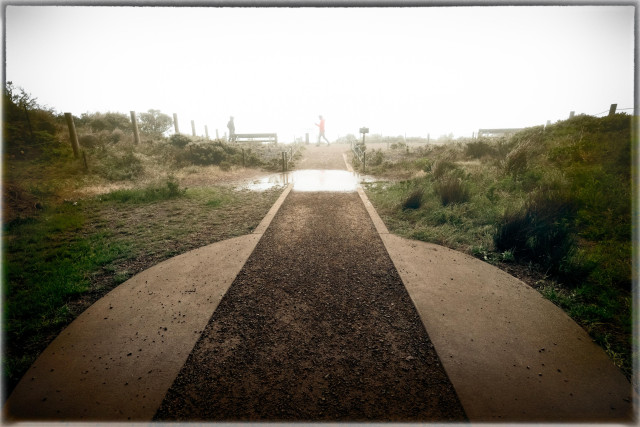 Looking down a packed earth path bisecting a former military cannon mount on a very foggy day atop Hawk Hill in the Marin Headlands. There are two people at the far end of the path, where the hillside vanishes in fog. I am supposed to join them but there is a giant puddle on the path, blocking my way. My feet are about to get wet. This is why people stay home.