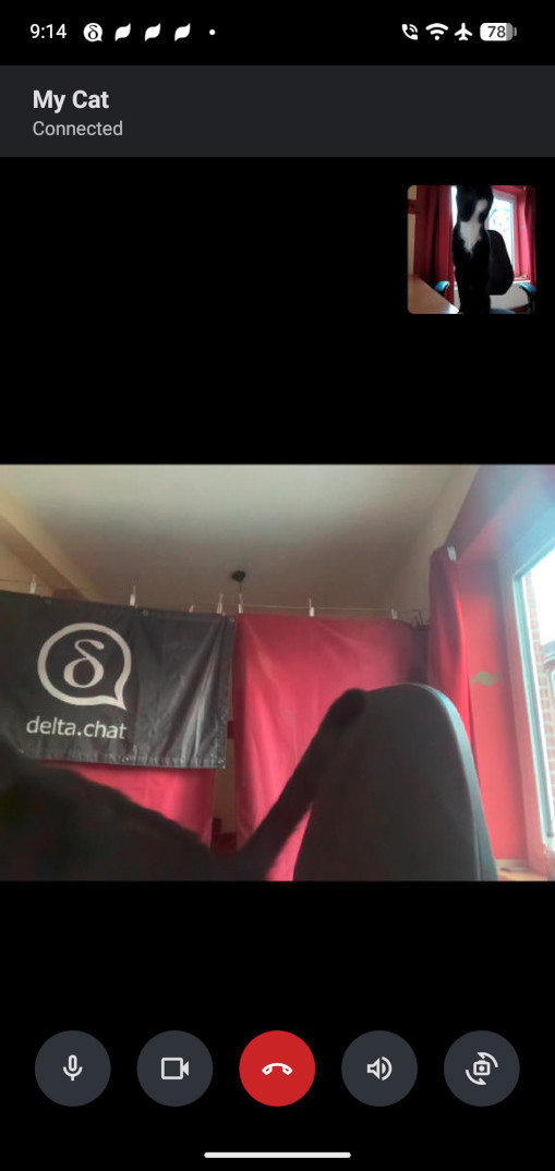 smartphone screenshot of a live video call with a contact named "My Cat." The main screen shows the user's view of a room with a "delta.chat" banner and the blurred silhouette of a cat's head in the foreground. A smaller picture-in-picture window in the top-right corner shows the other side of the call, where a black-and-white cat is sitting upright and looking at the camera. The bottom of the screen features a standard row of video call control buttons. 