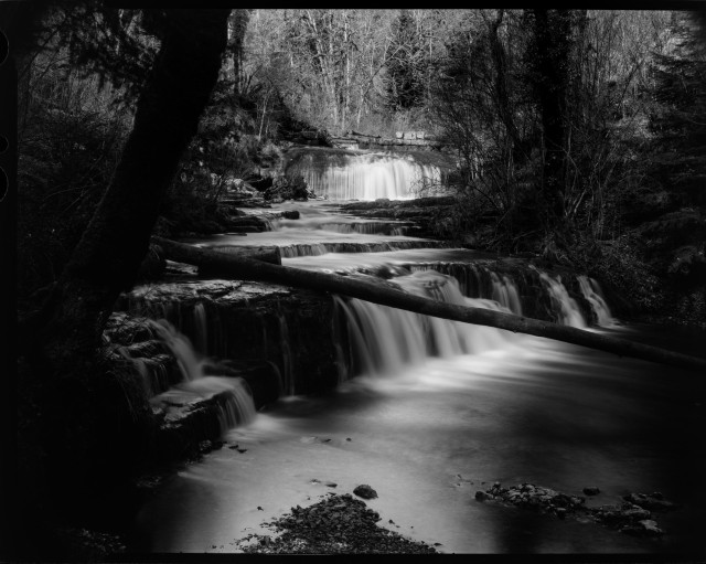 black and white large format picture of a small stream in the forest, with a long exposure making the water look blurry and very smooth. The stream is going down small waterfalls from the back of the image to the foreground, and the trees around the water are very dark and in the shadows while the forest in the background is in the sun. There are patches of small rocks in the water right in front of the camera, and we can see a crumbling rock wall in the background near the forest