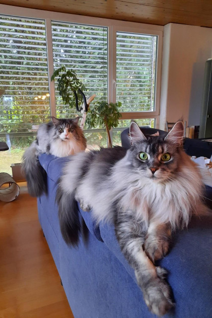 Das Flausch-Foto der Woche (24/26)