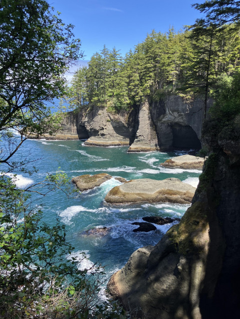Gentle breakers rush into the shoreline caves, spreading white foam over the rocks. The trees clinging to the cliffs provide shade on a clear sunny day. 