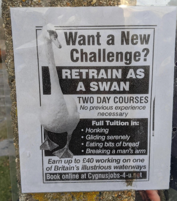 Poster on lamp post:

Want a new challenge?
RETRAIN AS A SWAN

TWO DAY COURSES
No previous experience necessary 

FULL TUITION IN:
* Honking
* Gliding serenely
* Eating bits of bread
* Breaking a man's arm

Earn up to £40 working on one of Britain's illustrious waterways

Book online at Cygnusjobs-4-u.net