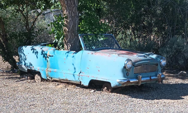 A color landscape photo of an very old small rusty light blue convertible car with no top. It has no wheels and is sitting on gravel. A large tree is growing out of the front seat area. 