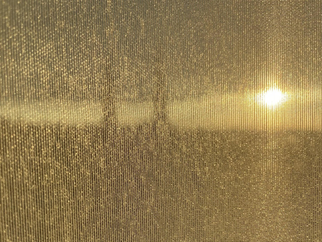 Two church spires and a golden sun low in the sky, through a narrow gap of clear sky, with dark clouds above and dark city below, seen through a sheer curtain that has turned everything gold and obscure, just blocks of dark gold and bright gold. 