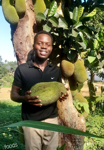 I was behind at the Jack fruit tree and holding a big jack fruit