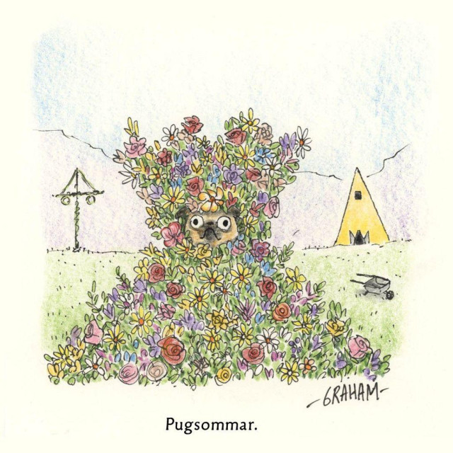 A cartoon illustration of a pug bedecked in a pyramid of flowers for a midsommar ritual celebrating the solstice. Caption reads "Pugsommar."