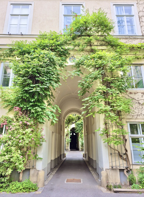 Corridor, grown with ivy. between two courts in the melkerhof, josefstadt, vienna