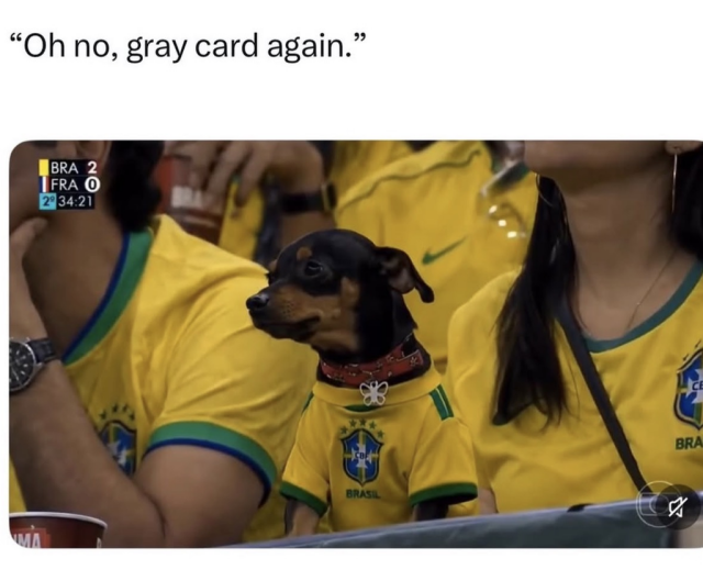 A soccer meme with the text "'Oh no, gray card again.'" The image shows a small, black-and-tan Pinscher dog sitting in a stadium crowd, dressed in a yellow and green Brazilian national football team jersey. In the upper-left corner, a broadcast scoreboard displays "BRA 2, FRA 0."
