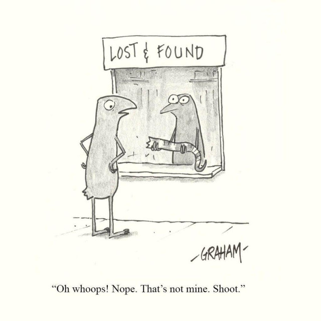 A cartoon illustration of a lizard with a missing tail talking to another lizard holding a tail at the lost and found. Caption  reads "Oh whoops! Nope. That's not mine. Shoot."