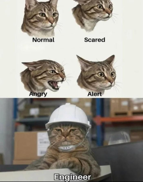 Different cat facial expressions labeled as "Normal," "Scared," "Angry," and "Alert," with a cat wearing a hard hat labeled as "Engineer."