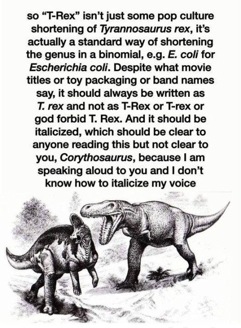 so “T-Rex” isn’t just some pop culture shortening of Tyrannosaurus rex, it's actually a standard way of shortening the genus in a binomial, e.g. E. coli for Escherichia coli. Despite what movie titles or toy packaging or band names say, it should always be written as T. rex and not as T-Rex or T-rex or god forbid T. Rex. And it should be italicized, which should be clear to anyone reading this but not clear to you, Corythosaurus, because I am speaking aloud to you and I don’t know how to italicize my voice.
