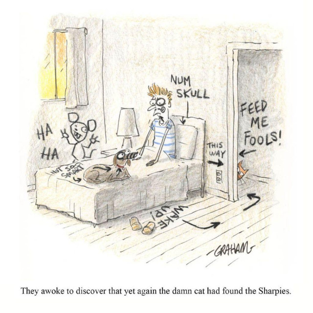 A cartoon illustration of a man and dog waking up to the realization that their room and themselves have been drawn over in permanent marker by a cat that is hiding in the hallway. Caption reads "They awoke to discover that yet again the damn cat had found the Sharpies."