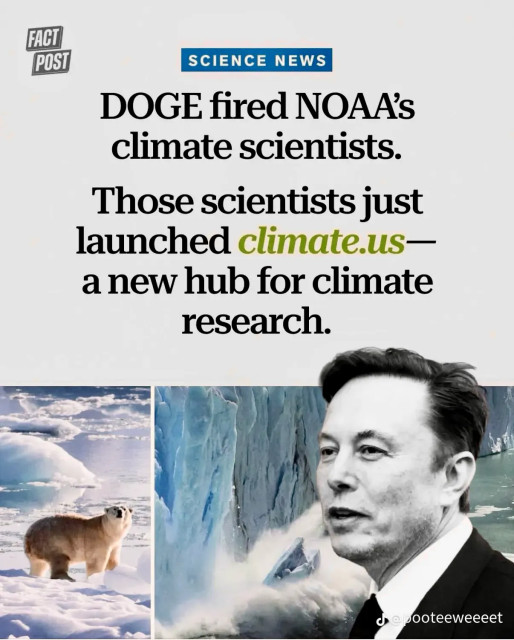 SCIENCE NEWS

DOGE fired NOAA's
climate scientists.

Those scientists just
launched climate.us—
a new hub for climate
research.

2 photos side by side show a polar bear on the left and Elon Musk on the right.