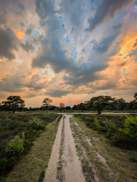 A dirt path winding through a heathland under a dramatic, colorful sky at sunset.

The path is flanked on both sides by low-lying, dark green and purplish shrubbery. A line of mature, dark green trees stands in the midground, separating the open heath from the horizon. 

The upper two-thirds are dominated by a dynamic, textured sky filled with heavy, dark gray and blue clouds. The clouds are heavily backlit by the setting sun, creating brilliant pockets of bright orange, gold, and soft yellow light. 

Faint sunbeams can be seen radiating upward from the distant horizon where the sun is hidden. 