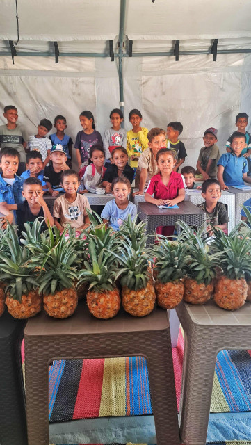 These are children who survived the genocide.

Today, I distributed pineapples to the students. They had never known this fruit except in cans, and tasting fresh pineapple for the first time was a wonderful experience for them.

This was possible thanks to your donations and sharing our posts.

We will show you your support through pictures.

Support the children here.
Link https://chuffed.org/project/172097-help-the-palestinians-teach-their-children
#gaza #palestine