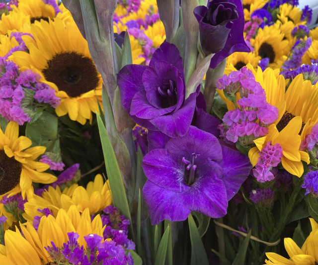 Assorted blooms: Bright yellow sunflowers, purple gladiolus, and purple statice. They work together very nicely! 
