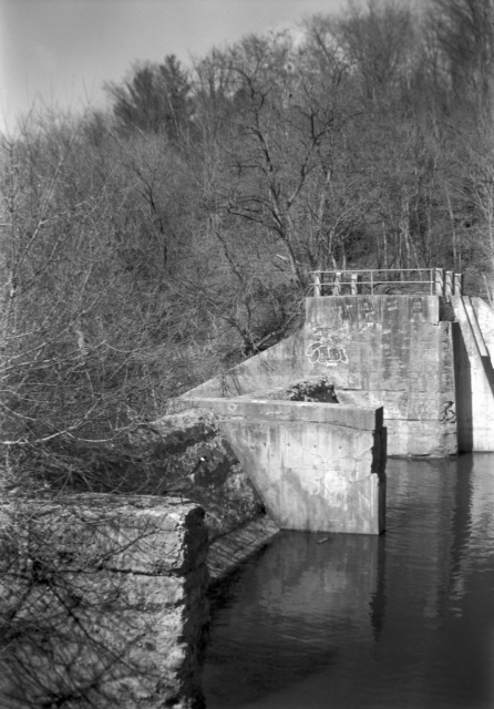 A Canada Goose stands on a derelict dam that once powered a mill. 
