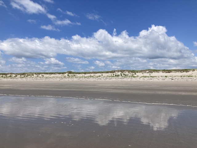 A bank of white fluffy clouds is reflected in the wet sand of an ocean beach. The photo is taken from the water side, with a view of low vegetation-topped sand dunes. 