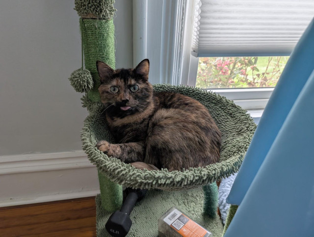 Same, but her eyes are wide and her tongue is out making her look extremely silly.