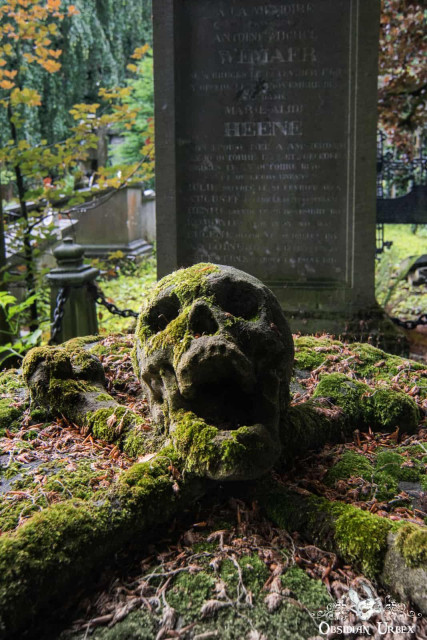A moss-covered stone skull with an agape mouth rests on crossed bones in a cemetery.