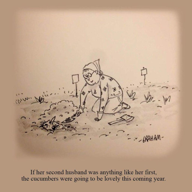 A cartoon illustration of a older woman working in her garden burying a dead man. Caption reads "If her second husband was anything like her first, the cucumbers were going to be lovely this coming year."