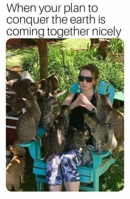 A meme with text at the top that reads: "When your plan to conquer the earth is coming together nicely". Below, a woman wearing sunglasses sits outside on a blue wooden chair, holding her hands together in a plotting gesture. She is completely surrounded by seven domestic cats sitting on her lap, the chair arms, and nearby surfaces.