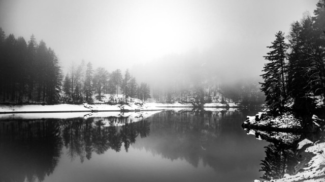 Ein See, rechts ein schneebedecktes Ufer mit Nadelbäumen, gegenüber ebenfalls ein schneebedecktes Ufer mit vielen Nadelbäumen. Es liegt Nebel über dem See. Es ist kein Himmel sichtbar.