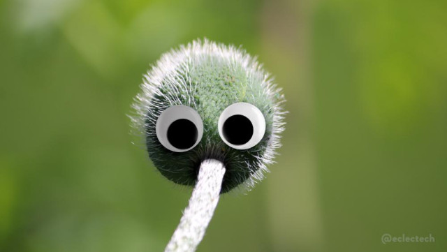 A photo of a stem and spiky oriental poppy bud against a blurred green backdrop. The stem leans away from the camera, so the bud is seen from the underside. The day is sunny, and the furry spikes are brightly lit. I have added two large google eyes above the stem. It looks a little like a small round spiky green creature with a long straw of some kind stuffed in their mouth. To me, anyhow. I imagine it might be saying something along the lines of "mmpphh".