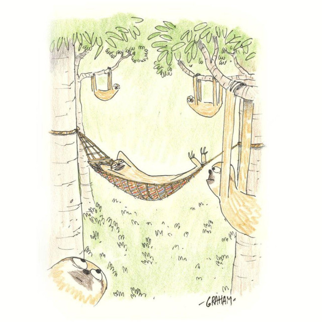 A cartoon illustration of a sloth relaxing in a hammock high up in the trees and talking to the other sloths hanging from branches. 