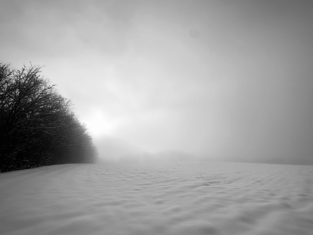 Blick über eine schneebedeckte, unberührte Wiese im Nebel. links vorn ein dichter Busch, weiter hinten erkennt man schemenhaft noch weitere Büsche.
durch den Nebel ahnt man die Sonne