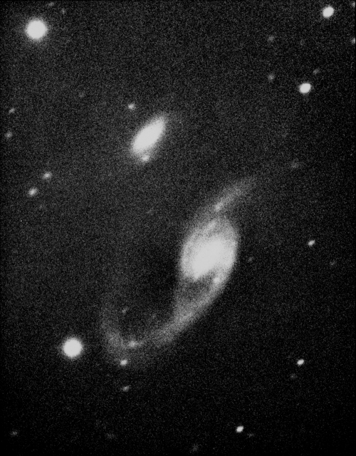 A grainy, black and white image of a pair of interacting galaxies. The large barred spiral on the right takes up about half of the frame. It has a bright center that transitions into a nearly horizontal bar structure. Two spiral arms begin at the ends of the bar. Together the arms and the bar form an S-shape. A tear-dropped shaped loop surrounds the bar and connects the inner parts of the two spiral arms. The bottom spiral arm extends much farther than the upper spiral arm. Near the bottom of the frame the bottom arm curves back up and points to its companion galaxy. In the center left, above the larger galaxy, is a much smaller galaxy, seen as a featureless oval. The black background of space is filled with dots, which are foreground stars and background galaxies.