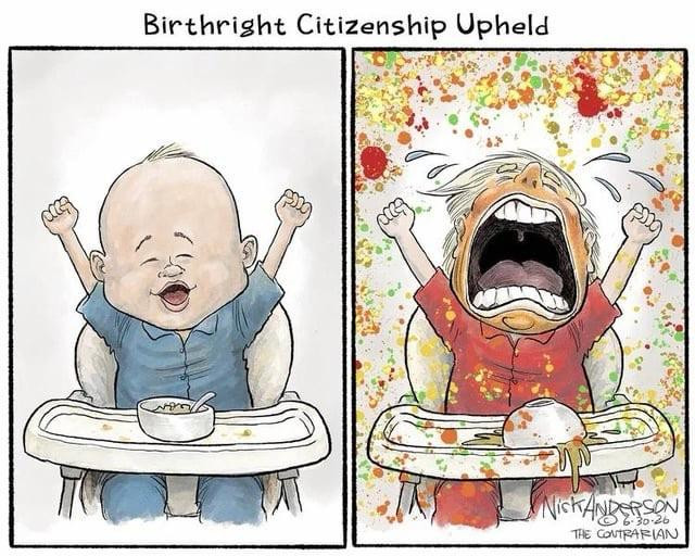 The image features a cartoon divided into two panels with the caption “Birthright Citizenship Upheld”. The left panel shows a happy baby in a high chair, celebrating with raised arms. The right panel depicts an upset Trump as a toddler in a high chair, crying and covered in spilled food, highlighting a stark contrast.