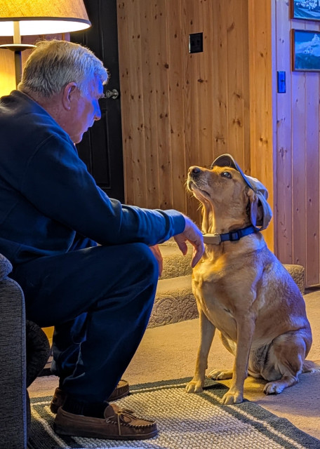 Golden lab is sitting on the floor in front of her gray haired pal. She is wearing his hat.