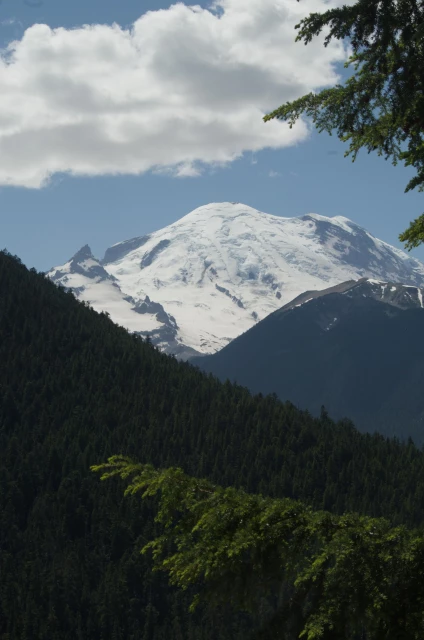 Looking towards Mount Rainier.